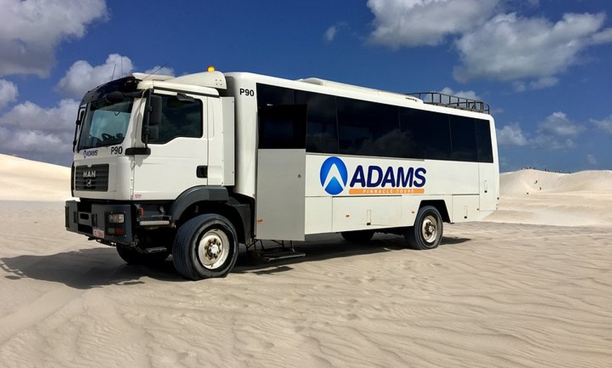 Image 7: Pinnacles Desert, Koalas and Sandboarding 4WD Day Tour from Perth