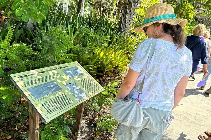 St. Petersburg Jungle Prada Site History Tour