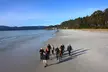 Bruny Island Traveller - Gourmet Tasting and Sightseeing Day Trip from Hobart - Image 4