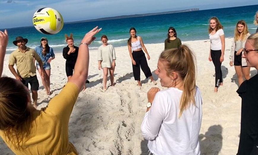 Image 18: Jervis Bay Tour with Dolphins, Kangaroos & World's Whitest Beach