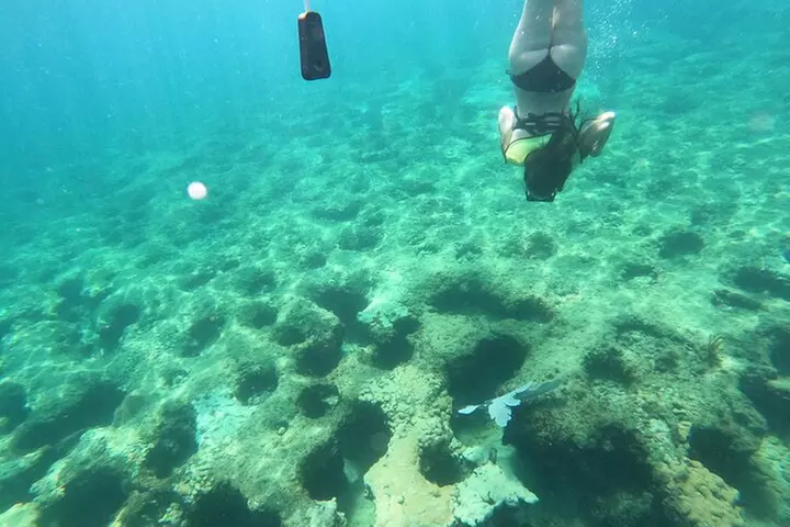 Public Guided Snorkel Tour of Fort Lauderdale Reefs