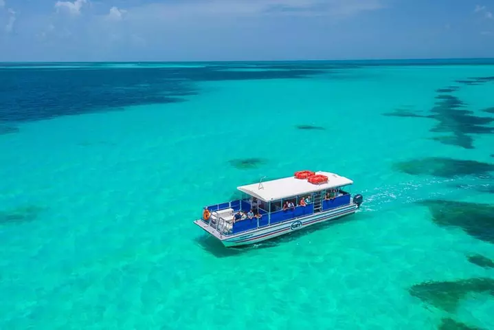 Key West Dolphin Watch and Snorkel Tour - Eco Adventure