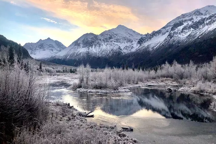 Winter Valley and Forest Hike - Primary Image