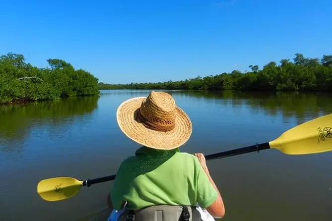 Happy Hour Kayak Tour in Sarasota - Primary Image