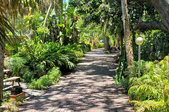 St. Petersburg Jungle Prada Site History Tour