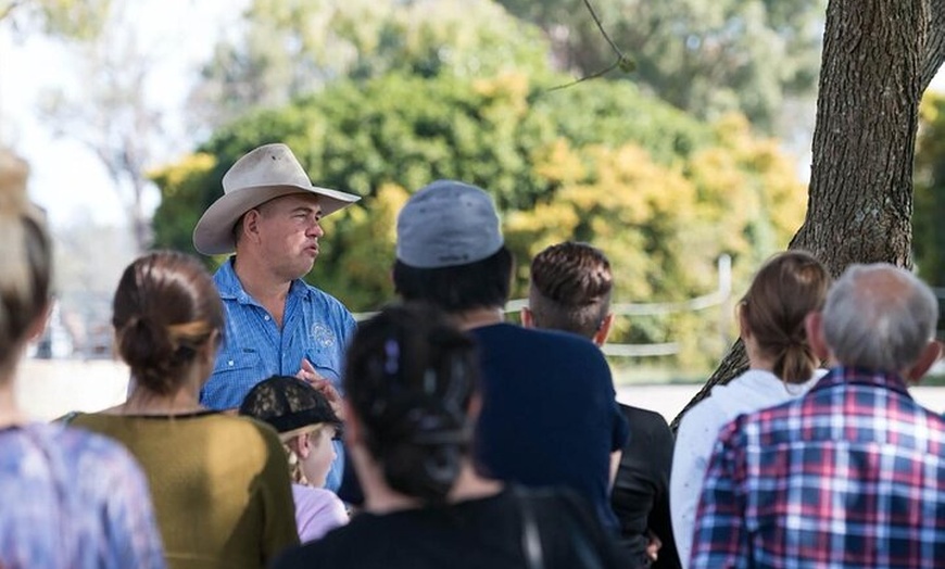 Image 3: Camel Farm Tour and Taste