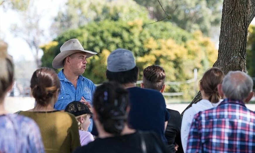 Image 3: Tour, Taste & Camel Encounter