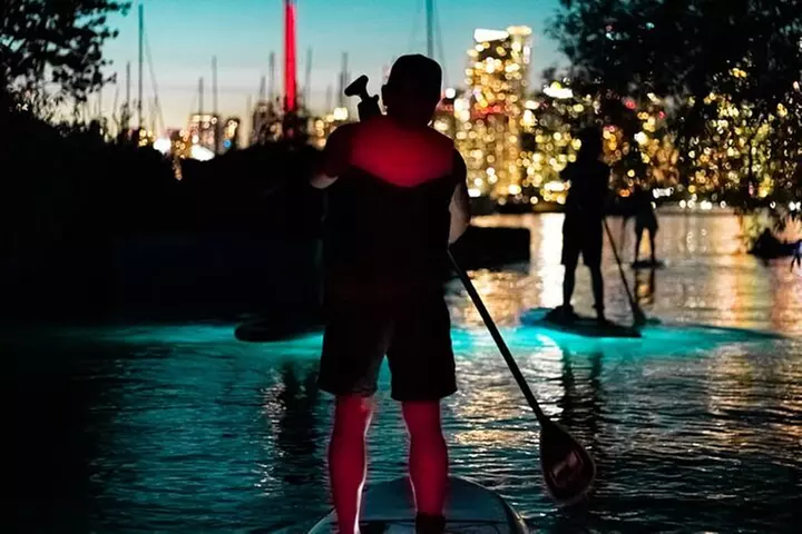 Sunset Safari: Evening SUP/Kayak Tour in Toronto - Primary Image