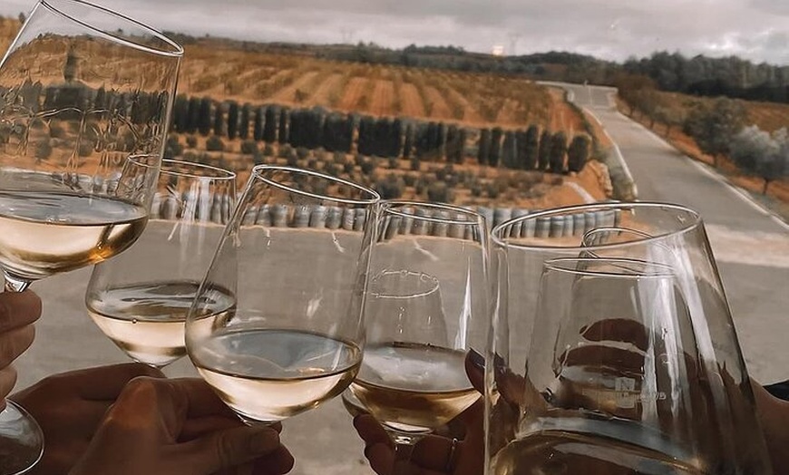 Image 11: Excursión por el viñedo de Valencia : Brunch rústico a la parrilla ...
