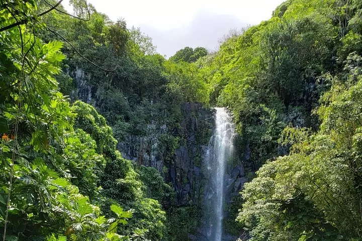 Maui Tour : Road to Hana Day Trip from Lahaina with Pick-up
