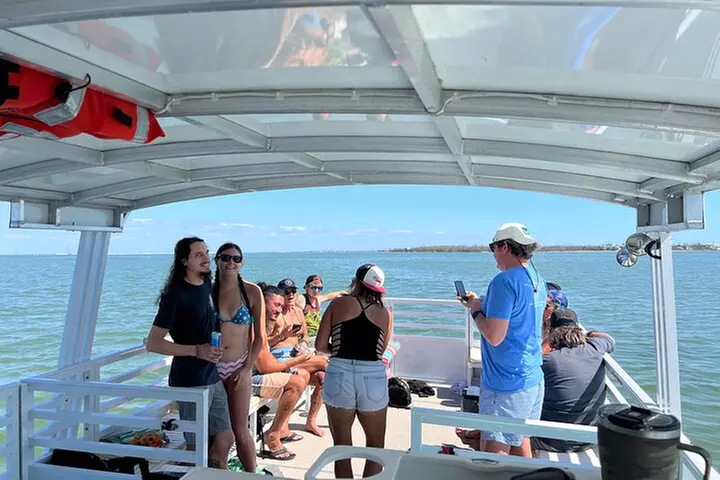 2 HR Dolphin Tour for 7 people