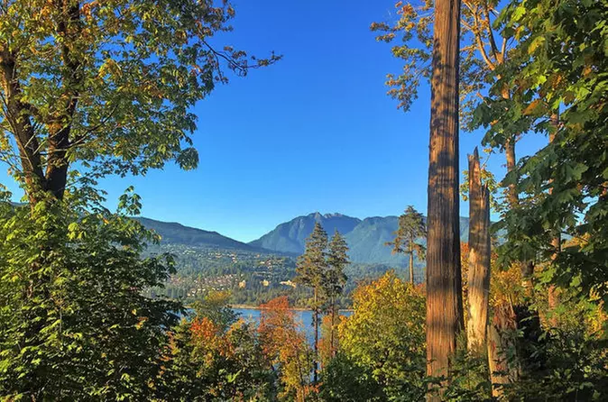 Stanley Park Rainforest Nature Tour and Meditation Workshop - Primary Image