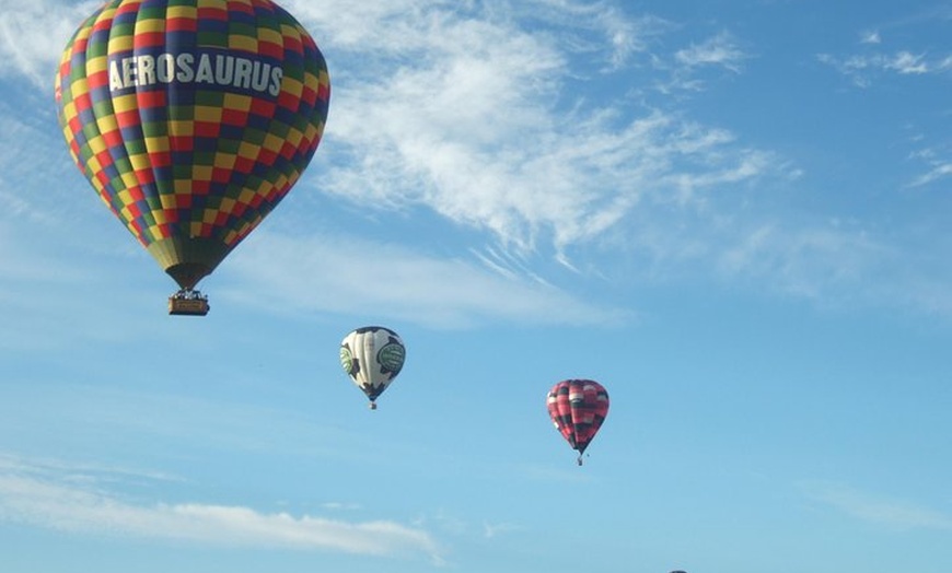 Image 3: Hot Air Balloon Flight from Templecombe, Dorset