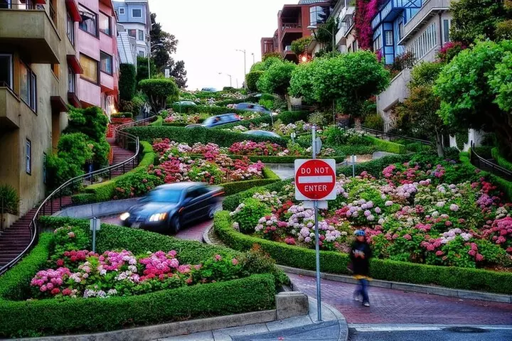 Private Luxury San Francisco City Tour