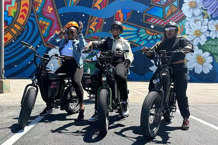 1-Hour Electric Bike Rental in Dallas