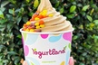 $10 For $20 Worth Of Frozen Yogurt - Second Medium