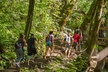 See Multnomah, two waterfalls & Vista House (Transport Included) - Second Medium