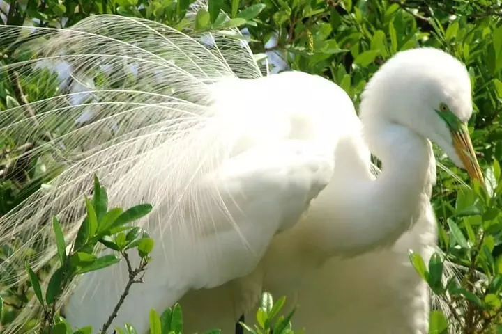 Rainbow Springs Guided Kayak/ Swim/ Snorkel Adventure - Primary Image