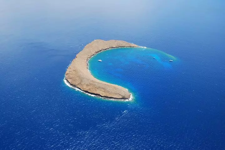 Maui Snorkeling Lani Kai - Maui Snorkeling Lani Kai | Groupon