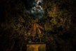 Savannah Terrors Ghosts and Ghouls of the South - Second Medium
