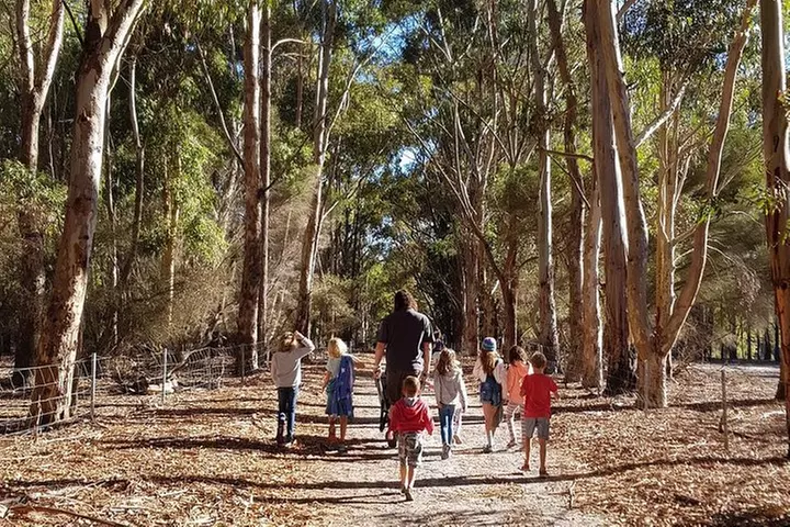 Hidden Gems: Boutique Full-Day Wine, Farm & Lunch Tour