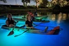LED Glow in the Dark Clear Kayak or Clear Paddleboard in Paradise