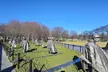 Discover Washington DC on a Day Trip from Manhattan or New Jersey - Second Medium