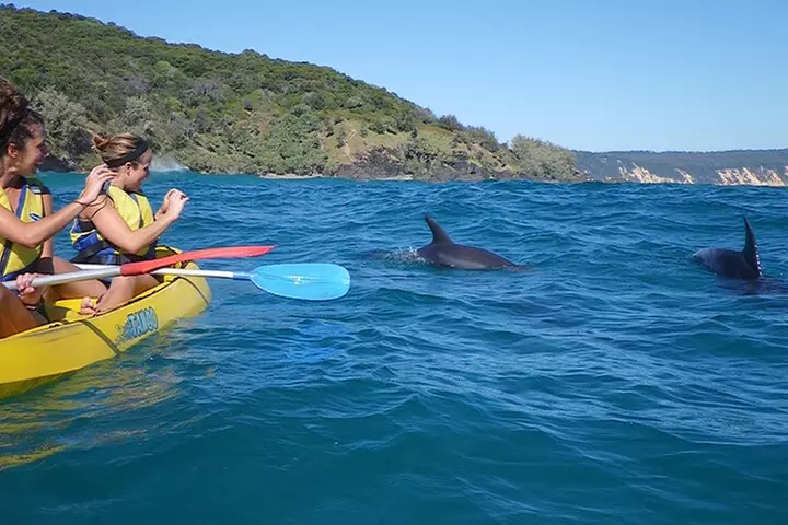 Rainbow Beach: Dolphin & Wildlife Ocean Kayak & Beach 4WD Tour