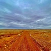 Image 2: Full day The Painted Desert Tour in Outback South Australia