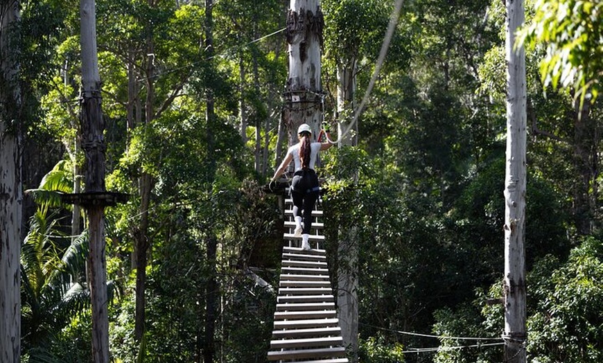 Image 5: Treetop Challenge Adrenaline Pass
