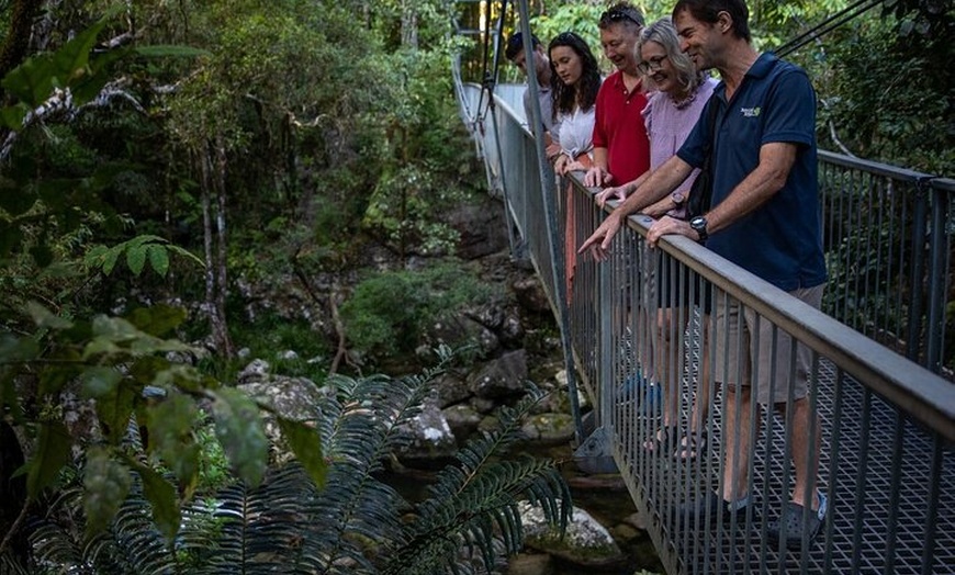 Image 6: Half Day Tour to Daintree Rainforest and Mossman Gorge