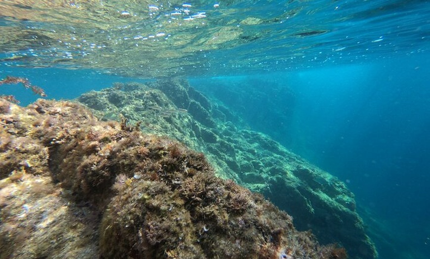 Image 12: Excursión Kayak + Snorkel - Costa Brava "Ruta de Las Cuevas"