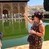 Image 1: Tour Privado a La Alhambra con Guía Oficial (no incluye entradas)