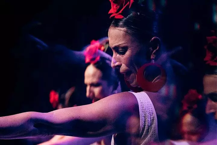 Olé Flamenco Show por Fran Chafino