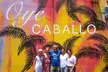 Little Havana Tour Private Cuban Podcaster Art, Museums, Music - Second Medium