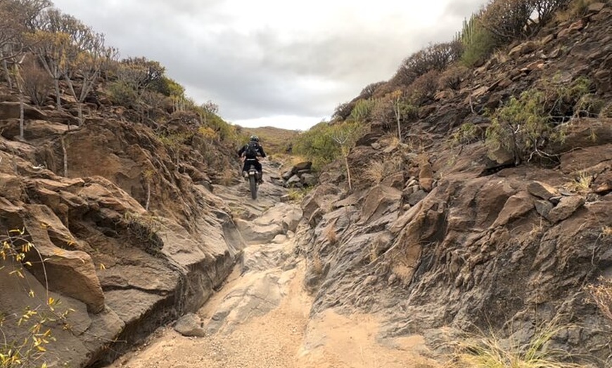 Image 3: Excursión privada en moto por Tenerife