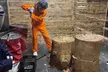 Rage Room Panama City Beach, Florida - Second Medium
