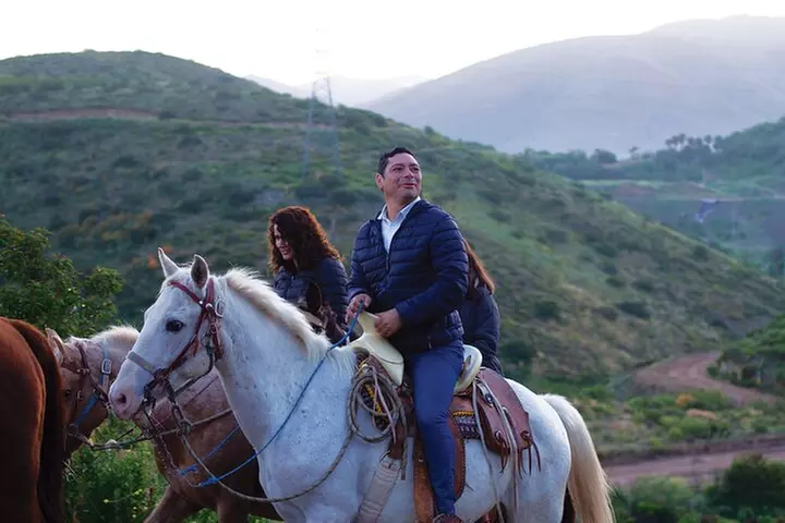 Horseback Riding Experience in Las Cañadas Campamento - Primary Image