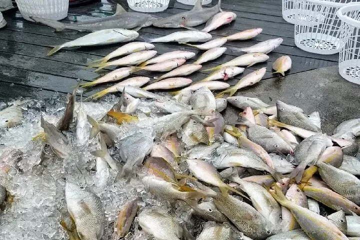 Key West Fishing Party Boat Charter with Experienced Captains