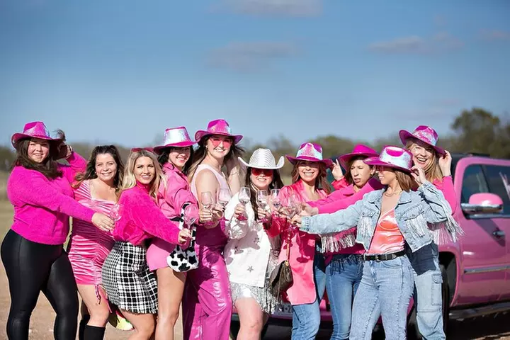 Fredericksburg Private Wine Tour Volkswagen Limo