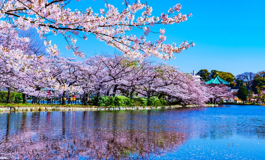 Image 6: ✈ JAPAN | Von Tokio nach Osaka - Auf Entdeckungsreise durch Japan v...