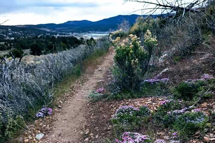 Family-Friendly Nature Hike around the Big Bear Valley