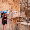 Image 9: Caminito del Rey Excursión de 1 día