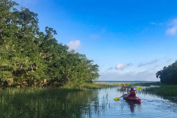 2-Hour Hilton Head Guided Kayak Nature Tour