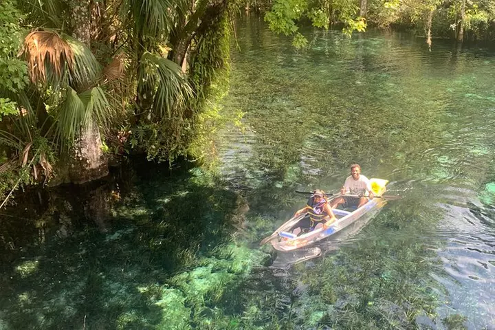 Clear Canoeing and Wildlife Sightseeing at Silver Springs