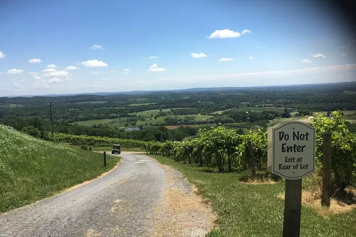 Private Loudoun County Wine Tour from DC with Stops at 3 Wineries