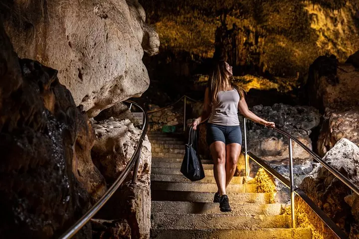 Medio Día a las Cuevas del Drach con Paseo en Barco y Concierto.