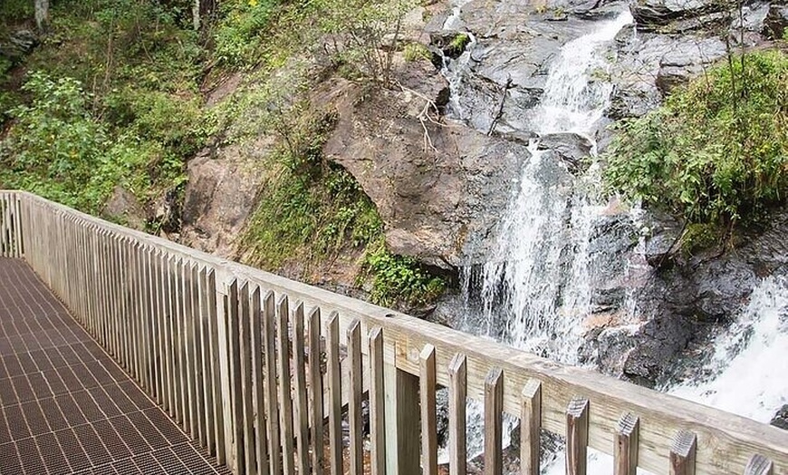 Image 3: Full Day Tour from Atlanta to Amicalola Falls and Blue Ridge