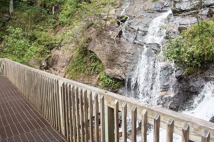 Full Day Tour from Atlanta to Amicalola Falls and Blue Ridge