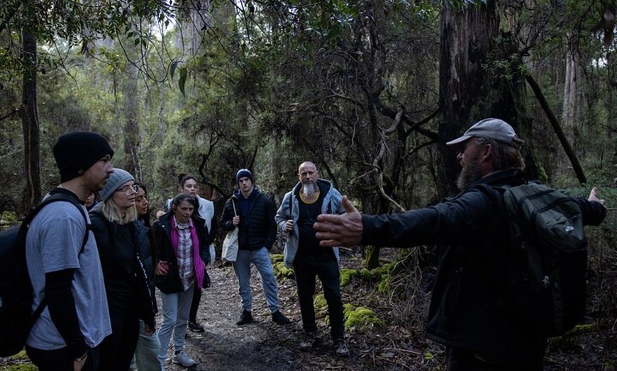 Image 8: Hobart: 7hr Shore Excursion: Mt. Field, Russell Falls & Wildlife